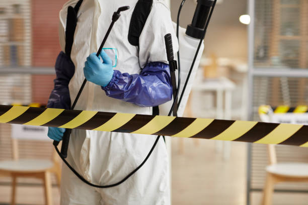 Professional Blood Cleanup technician working in Roy, WA